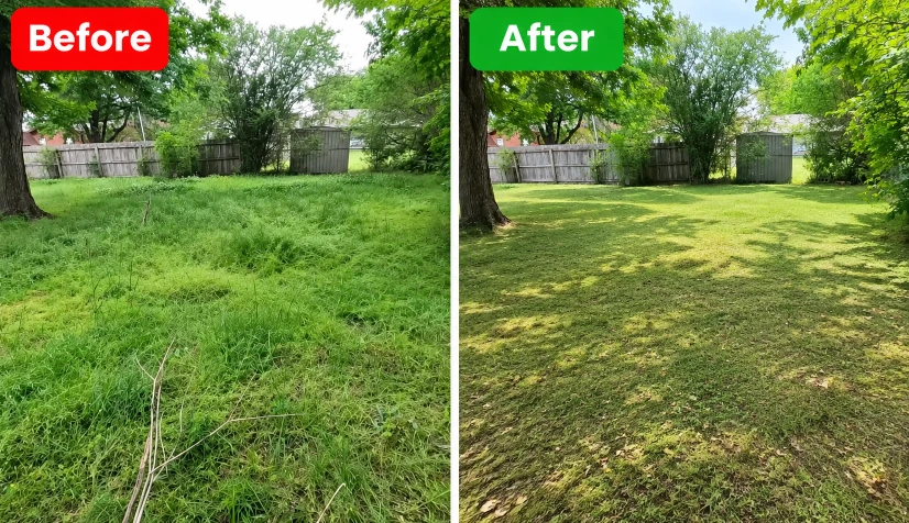 Before and after photo of a yard waste and trash removal job in Hemet, CA